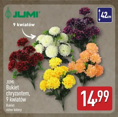 Bukiet chryzantem 9 kwiatów Jumi promocja w Aldi