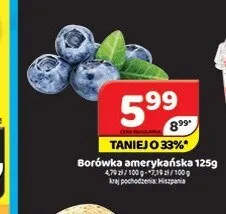 Borówka amerykańska Hiszpania promocja w Delfin