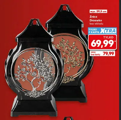 Znicz Drzewko bez wkładu promocja w Kaufland
