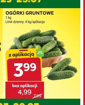 Ogórki gruntowe promocja w Stokrotka
