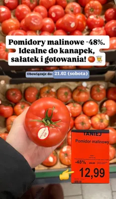 Pomidor malinowy promocja w Aldi