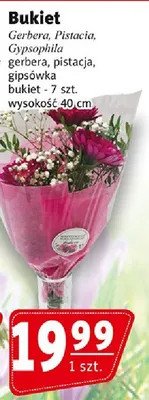 Bukiet gerbera, pistacja, gipsówka promocja w Prim Market