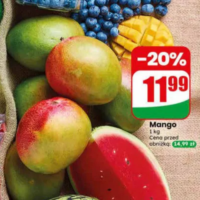 Mango promocja w Dino