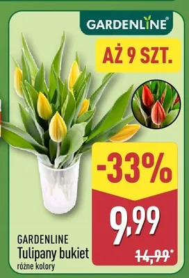 Tulipany bukiet promocja w Aldi