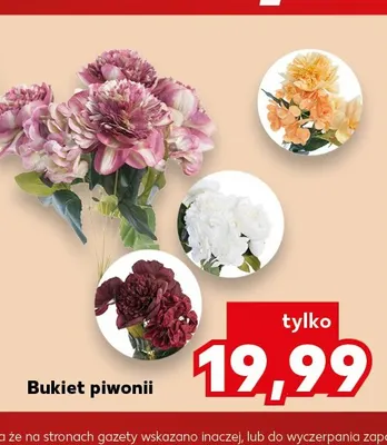 Bukiet piwonii promocja w Kaufland