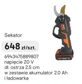 Sekator promocja w Castorama
