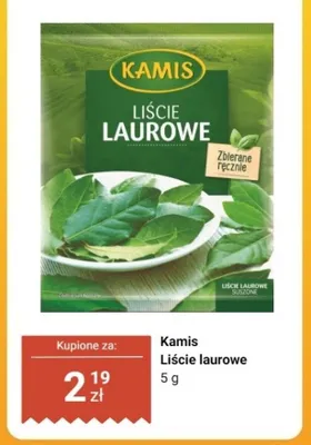 Liście laurowe Kamis promocja w Dino