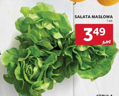 Sałata masłowa promocja w Stokrotka