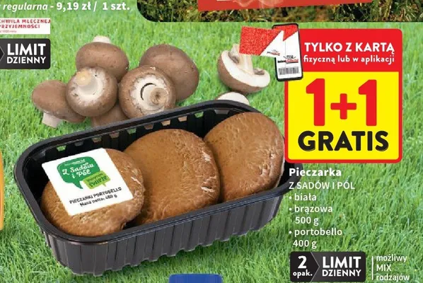 Pieczarka brązowa Z Sadów i Pól promocja w Intermarche
