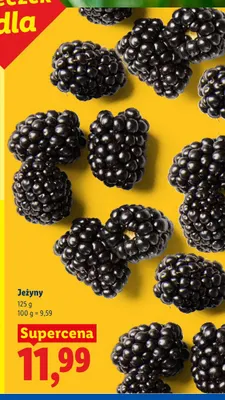 Jeżyny promocja w Lidl