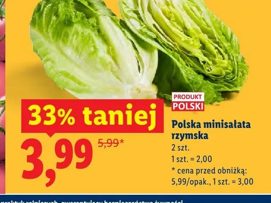 Polska minisałata rzymska promocja w Lidl