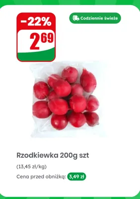 Rzodkiewka promocja w Dino