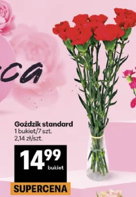 Goździk standard promocja w Delikatesy Centrum