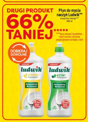 Płyn do mycia naczyń Ludwik miętowy promocja w POLOmarket