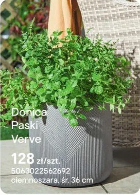 Donica Paski Verve promocja w Castorama