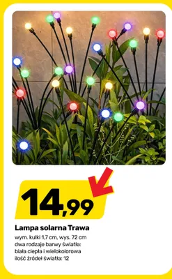 Lampa solarna Trawa biała ciepła promocja w Bricomarche