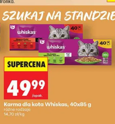 Karma dla kota Whiskas 40-pak promocja w Biedronka