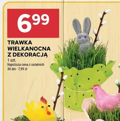 Trawka wielkanocna z dekoracją promocja w Stokrotka
