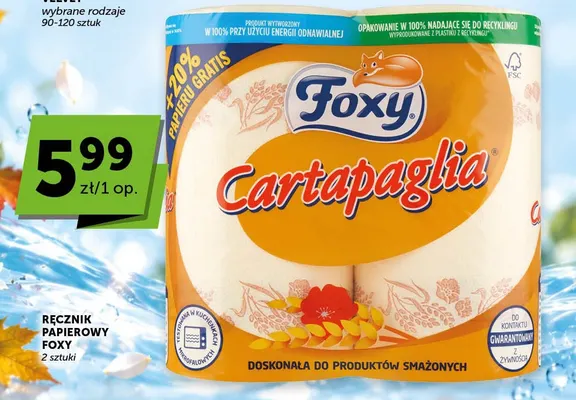 Ręcznik papierowy Foxy Cartapaglia 2-pak promocja w ABC