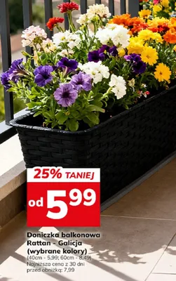 Doniczka balkonowa Rattan Galicja wybrane kolory promocja w Hitpol