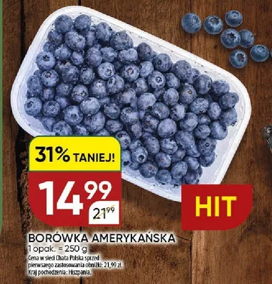 Borówka amerykańska hiszpańska promocja w Chata Polska