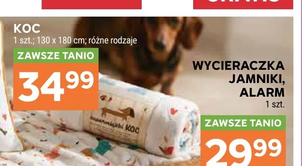 Koc 130x180 cm promocja w Stokrotka