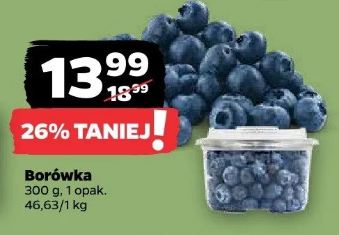 Borówka 300 g promocja w Netto