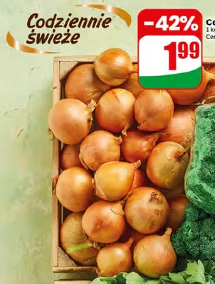 Cebula promocja w Dino