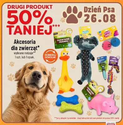 Akcesoria dla zwierząt promocja w POLOmarket