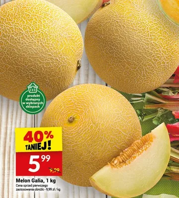 Melon Galia promocja w Twój Market