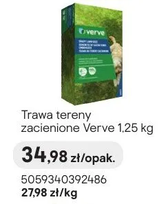 Trawa tereny zacienione promocja w Castorama