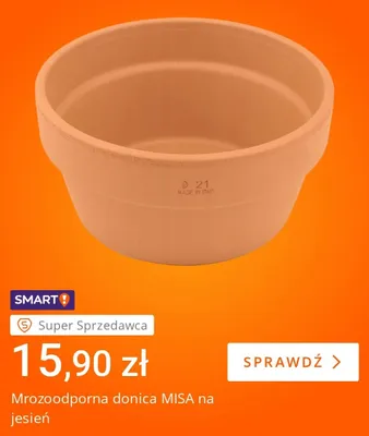 Mrozoodporna donica Misa na jesień promocja w Allegro