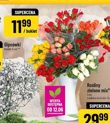 Róże bukiet 9-pak promocja w POLOmarket
