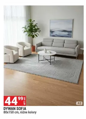 Dywan Sofia 80x150 cm promocja w Merkury Market