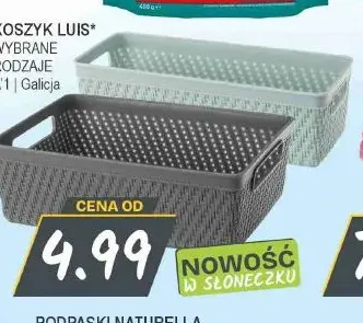 Koszyk Luis Galicja promocja w Słoneczko