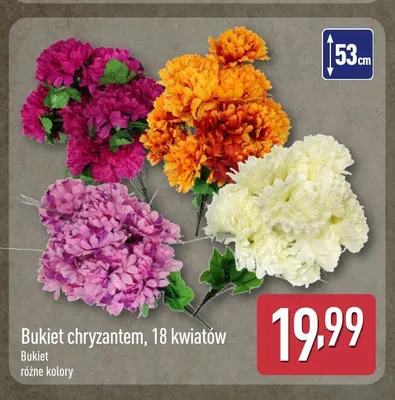 Bukiet chryzantem 18 kwiatów promocja w Aldi