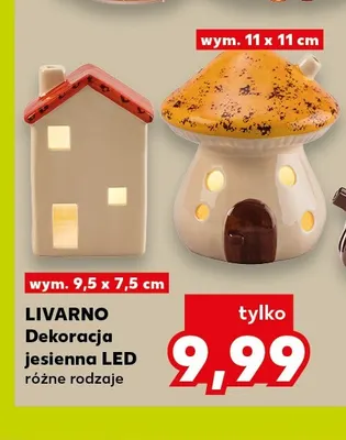 Dekoracja jesienna LED Livarno promocja w Kaufland