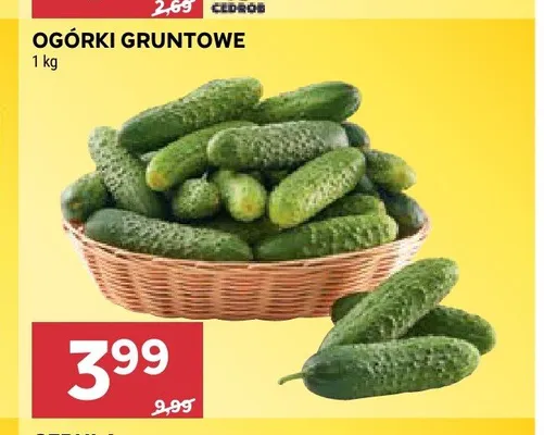 Ogórki gruntowe promocja w Stokrotka