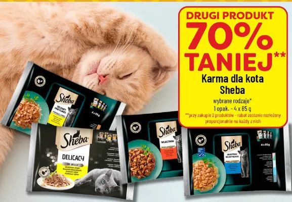 Karma dla kota Sheba promocja w POLOmarket