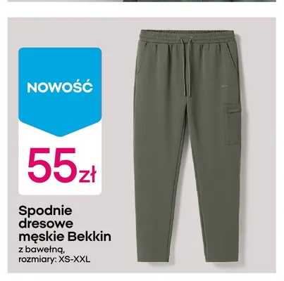 Spodnie dresowe męskie Bekkin z bawełną promocja w Pepco