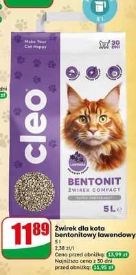 Żwirek dla kota bentonitowy leśny Hilton promocja w Dino