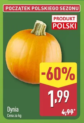 Dynia promocja w Aldi