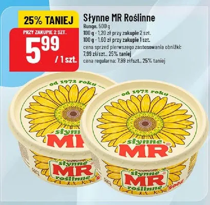 Słynne MR Roślinne promocja w POLOmarket