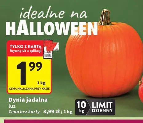 Dynia jadalna luz promocja w Intermarche
