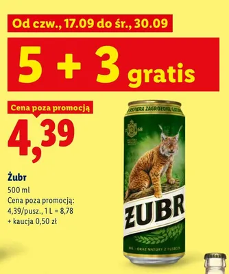 Piwo Żubr promocja w Lidl