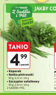 Szczypior sałatkowy Z Sadów i Pól promocja w Intermarche