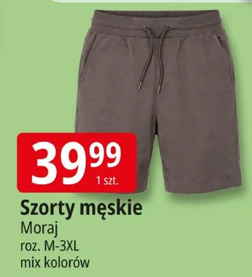 Szorty męskie promocja w Leclerc