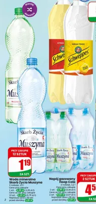 Woda mineralna Skarb Życia Muszyna Magnez promocja w Dino