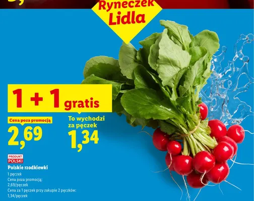 Rzodkiewki polskie promocja w Lidl