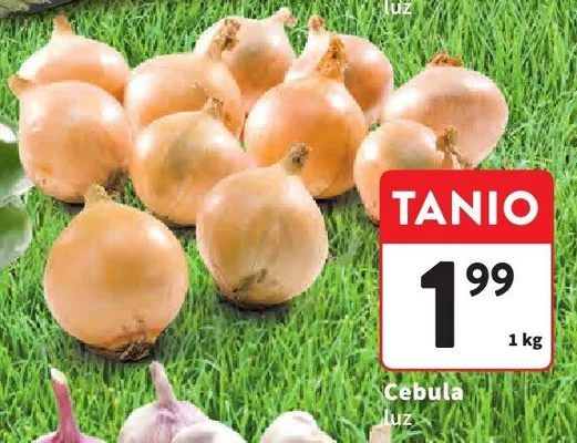 Cebula luz promocja w Intermarche